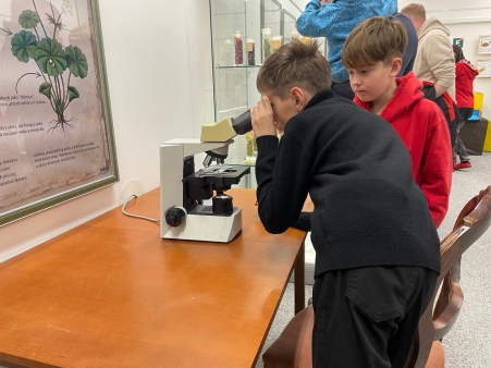 Byliny a hmyz z naší zahrádky